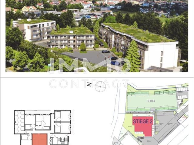 Wohnung kaufen in Hartberg, Steiermark