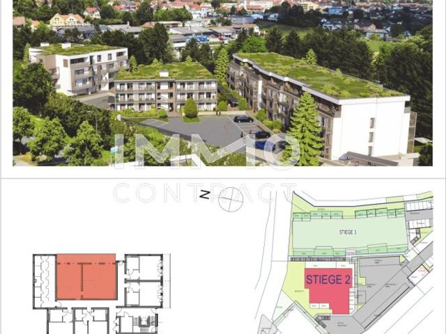 Wohnung kaufen in Hartberg, Steiermark