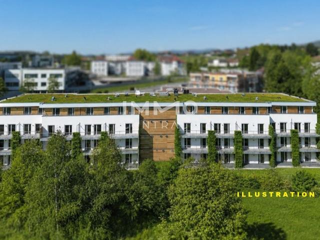 Wohnung kaufen in Hartberg, Steiermark