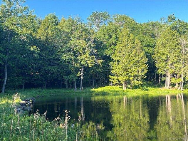 Land for sale in Claryville, New York