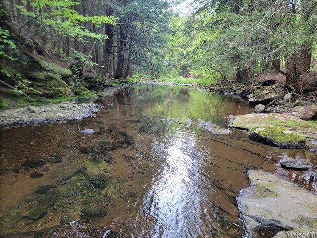 Land for sale in Claryville, New York