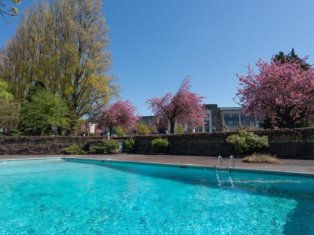 Apartment for rent in Vancouver, British Columbia