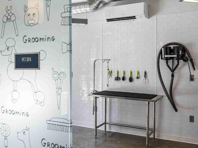 Apartment for rent in West Roxbury, Boston