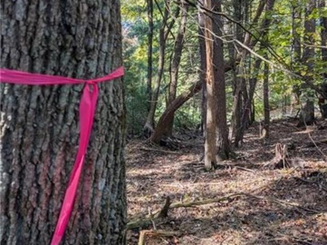 Land for sale in Sparta, Alleghany County