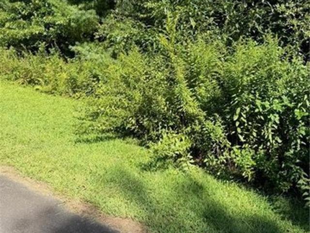 Land for sale in West Jefferson, North Carolina