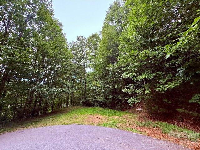 Land for sale in Transylvania, North Carolina