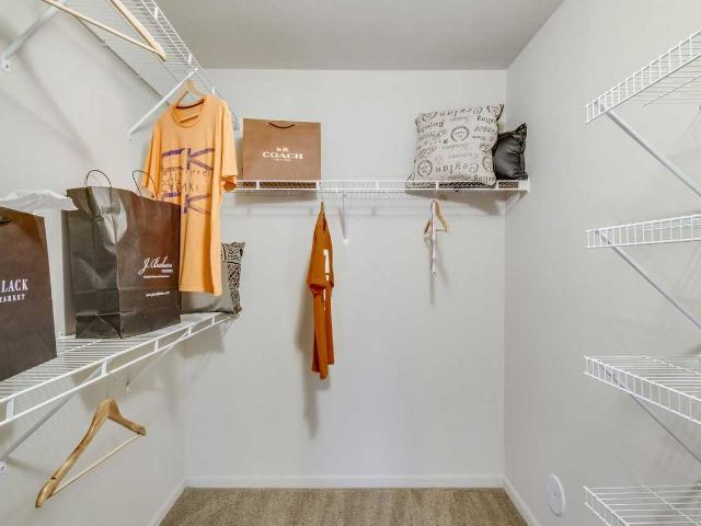 Apartment for rent in Auburn Hills, Michigan