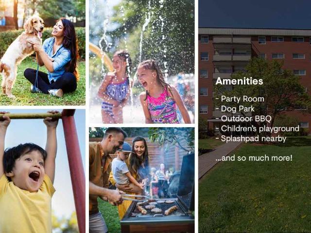 Apartment for rent in Mulhurst Bay, Ontario