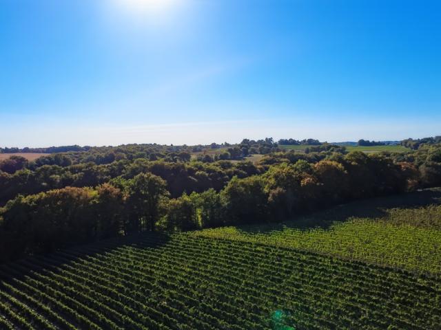 Château vente à Parleboscq, Landes