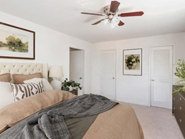 Apartment for rent in Annandale
