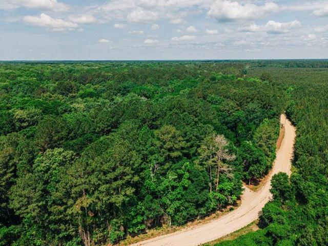 Land for sale in Cope, South Carolina