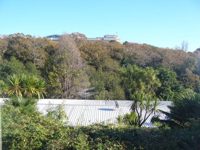 Apartment for rent in Auckland, Oroua County