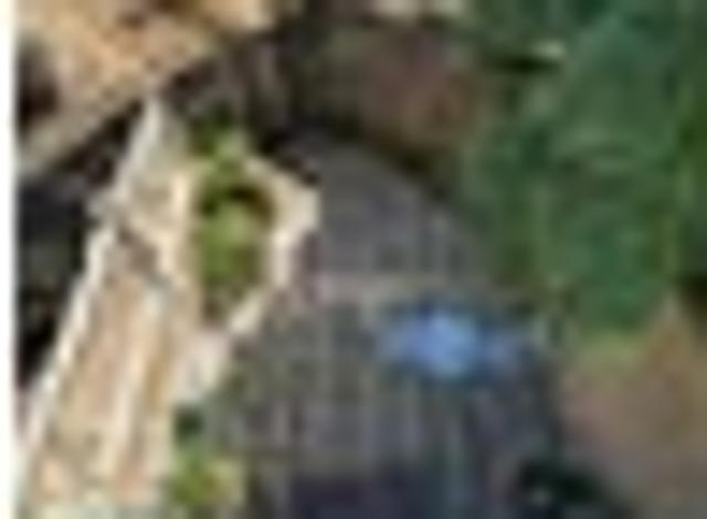 Townhouse for rent in Auckland, Oroua County