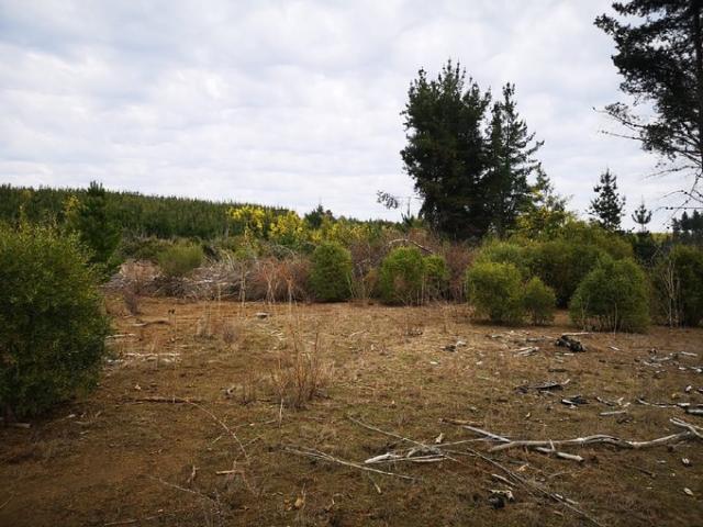Parral, Buen Recuerdo
