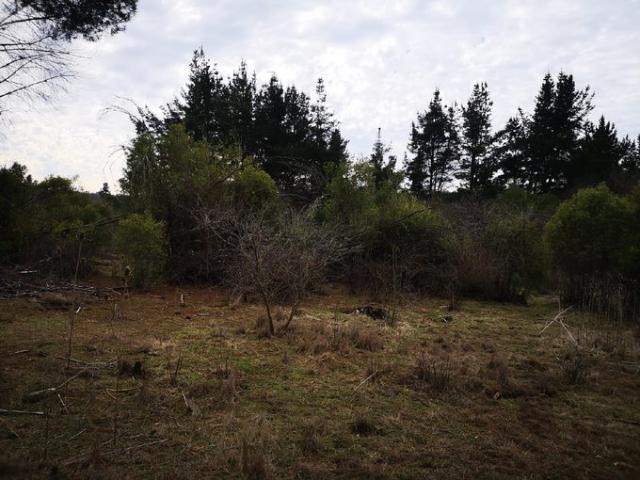 Parral, Buen Recuerdo