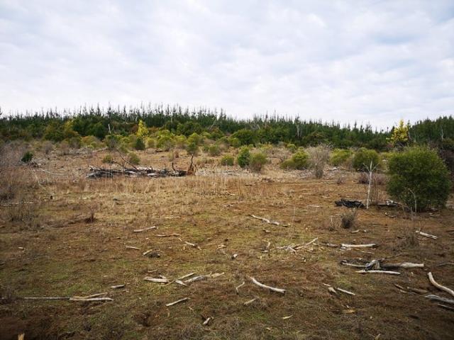 Parral, Buen Recuerdo
