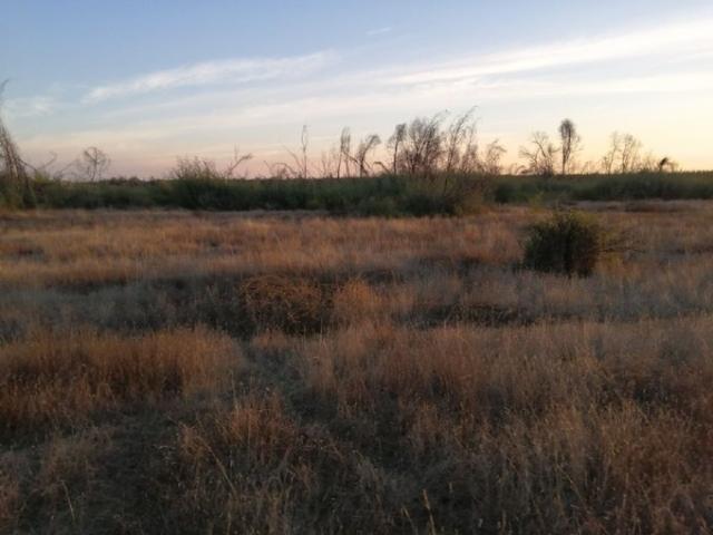 Parral, termas el catillo
