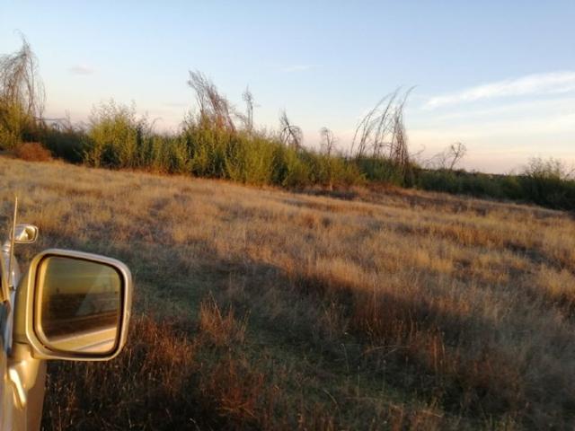 Parral, termas el catillo