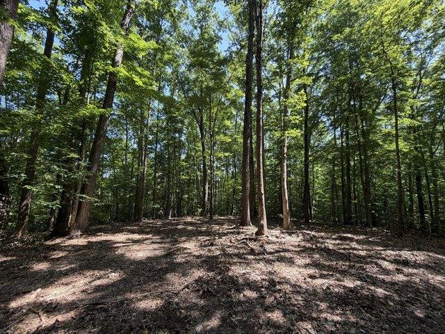 Land for sale in Virginia