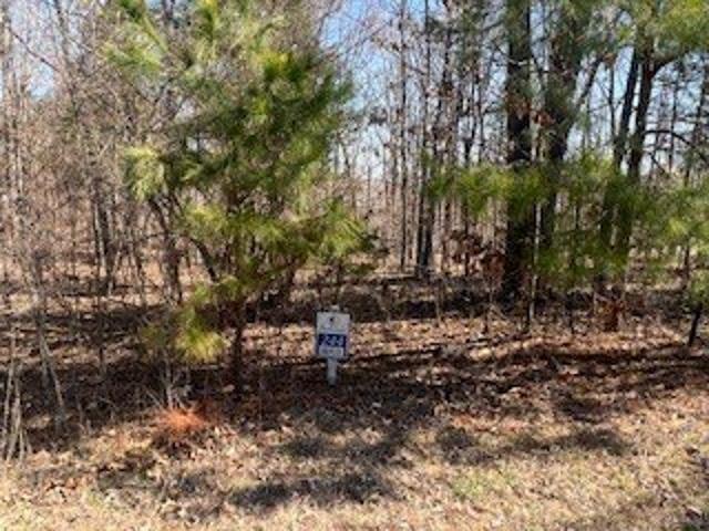 Land for sale in Goreville, Illinois