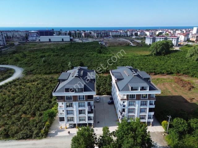 Ordu içerisinde kiralık mülk