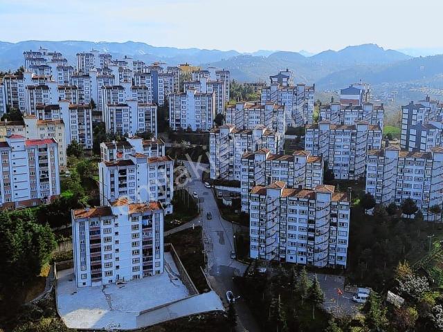 Ordu içerisinde kiralık mülk