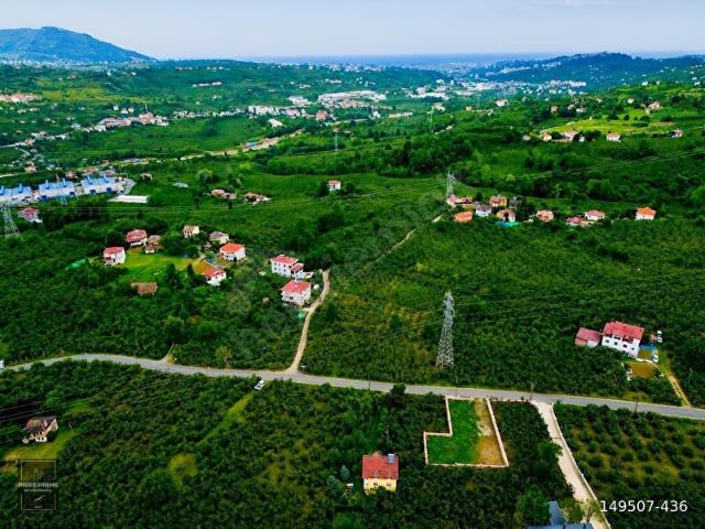 Uzunisa Mahallesi, Altınordu içerisinde satılık mülk