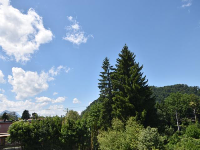 Wohnung kaufen in Neustadt, Salzburg