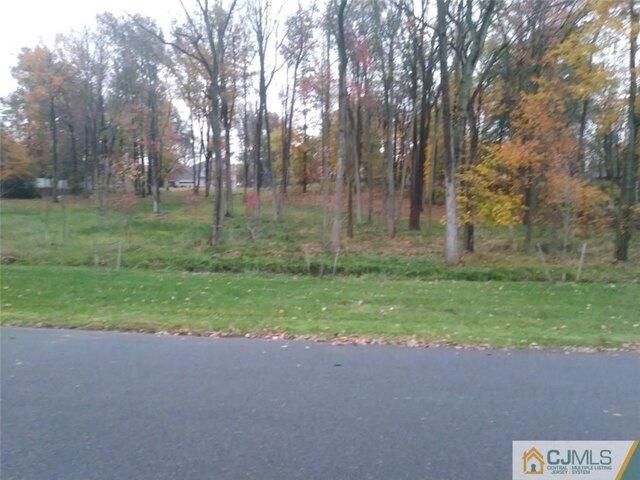 Land for sale in Colonia