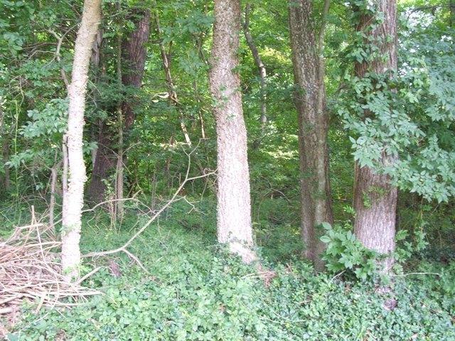 Land for sale in Virginia