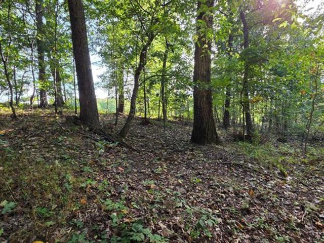 Land for sale in New Windsor, Carroll County