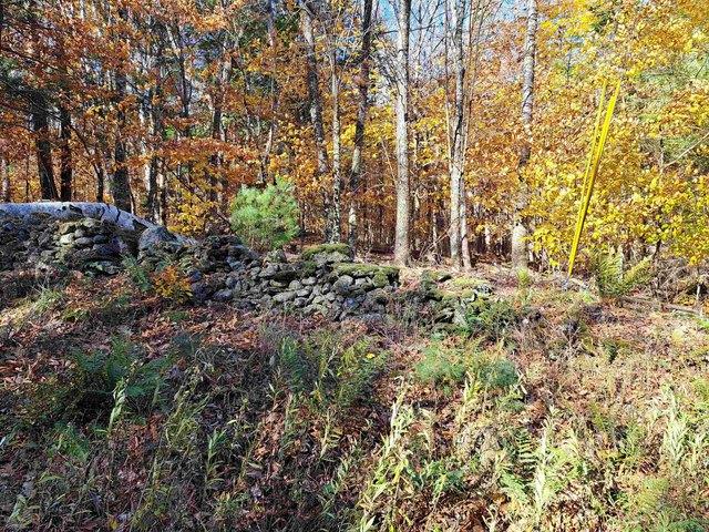Land for sale in Cornish Center, Cornish