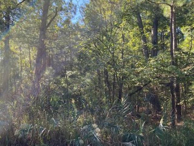 Land for sale in Dorchester, Maryland