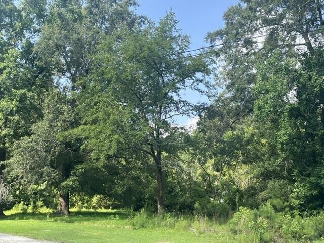 Land for sale in Summerville, South Carolina