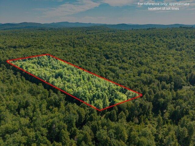 Land for sale in Parsonsfield, Maine