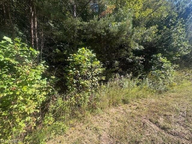 Land for sale in Purlear, North Carolina