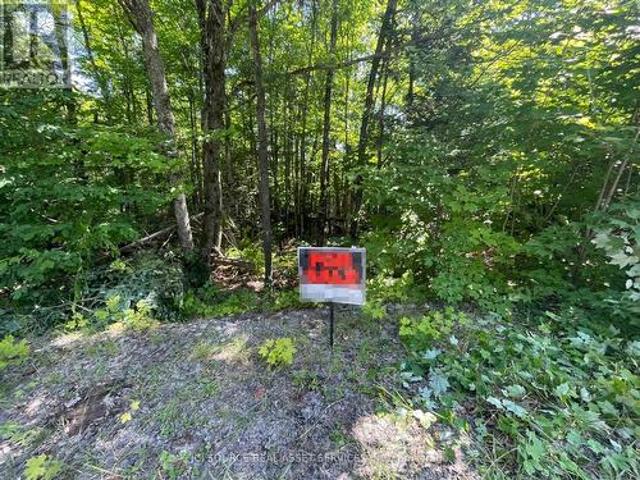 Land for sale in South River, Ontario