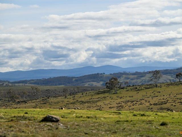 Cottage for sale in Dry Plain, New South Wales