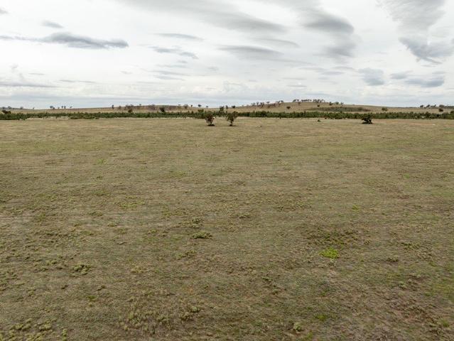 Acreage for sale in Colinroobie, New South Wales