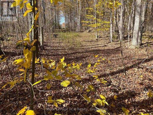 Land for sale in Grey, Ontario