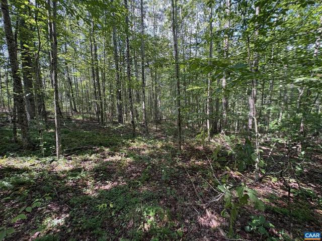 Land for sale in Virginia