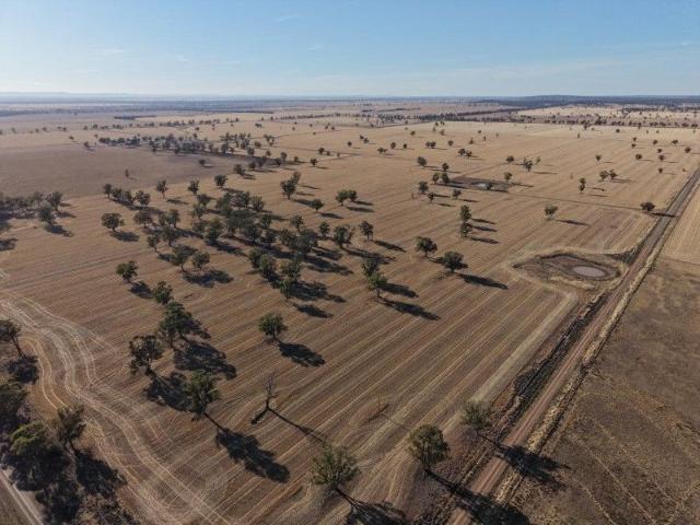 Cottage for sale in Peak Hill, New South Wales