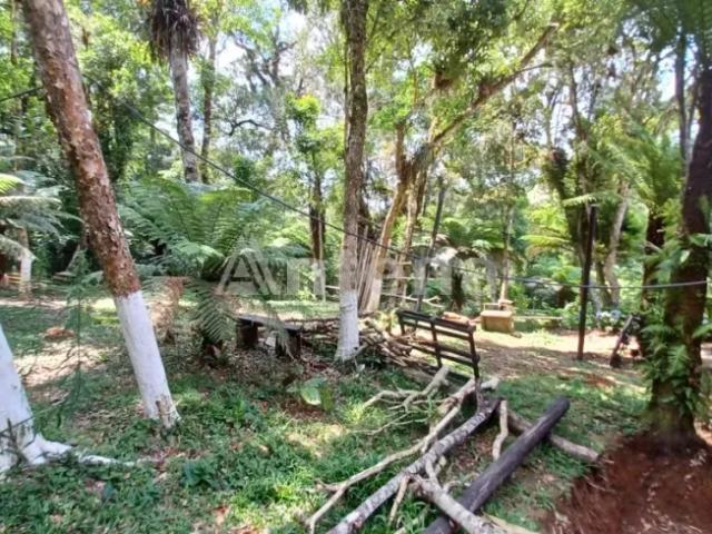 Fazenda venda em Região Geográfica Imediata de Curitiba, Região Metropolitana de Curitiba