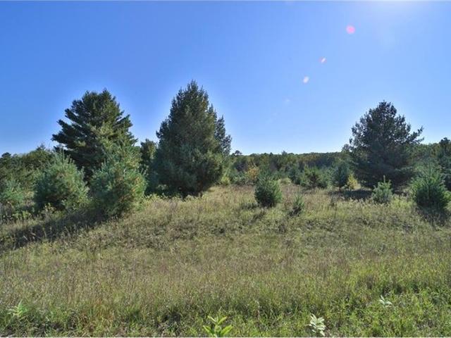 Land for sale in Todd, Minnesota