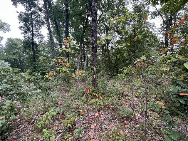 Land for sale in Missouri