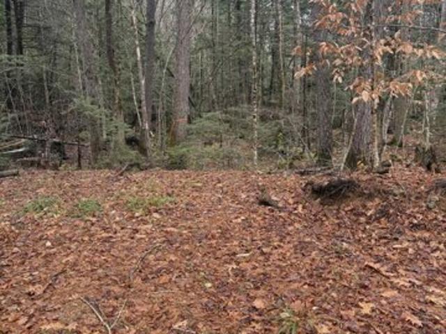 Land for sale in New Hampshire