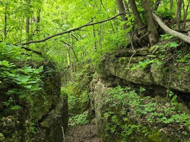 Land for sale in Holy Cross, Iowa