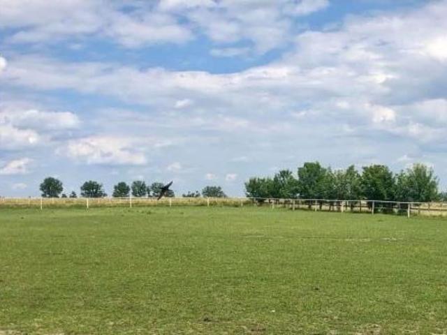 Grunt na sprzedaż w Parzęczew, Łódzkie
