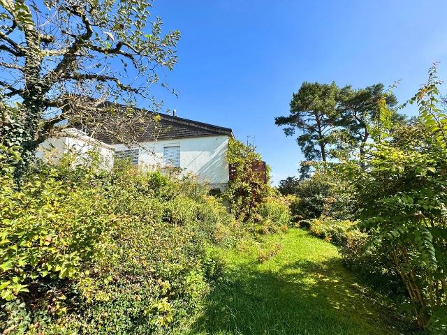 Haus kaufen in Thayngen, Schaffhausen