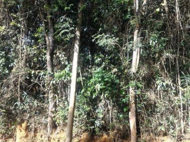 Terreno venda em Região Geográfica Imediata de Belo Horizonte, Região Metropolitana de Belo Horizonte
